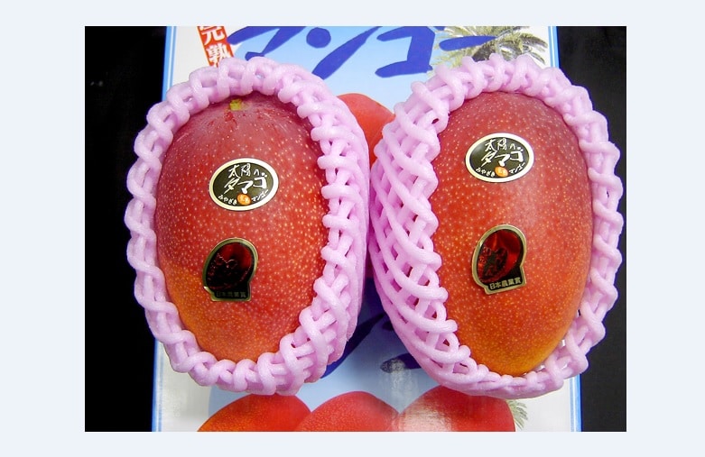 Deux mangues « Taiyo no tamago » vendues 2125 euros pièce au Japon