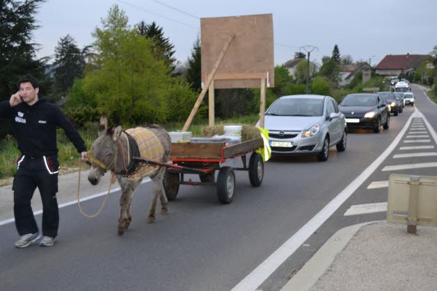 Privé de son permis de conduire, il se rend au travail avec un âne