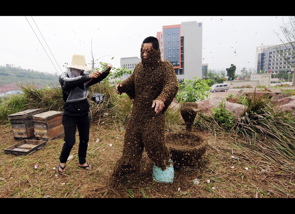 460 000 abeilles se posent sur son corps sans protection