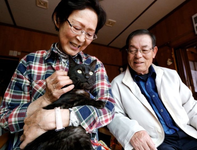 Un chat disparu retrouve ses maîtres trois ans après un tsunami