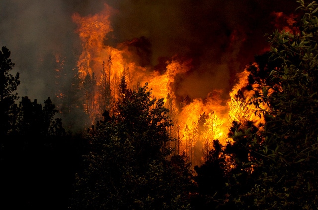 Elle met le feu à une forêt pour occuper ses amis pompiers qui s’ennuient