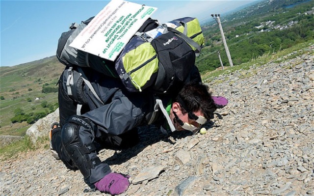 Il gravit une montagne en poussant avec le nez un chou de Bruxelles