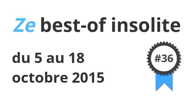 Ze best-of insolite du 5 au 18 octobre 2015