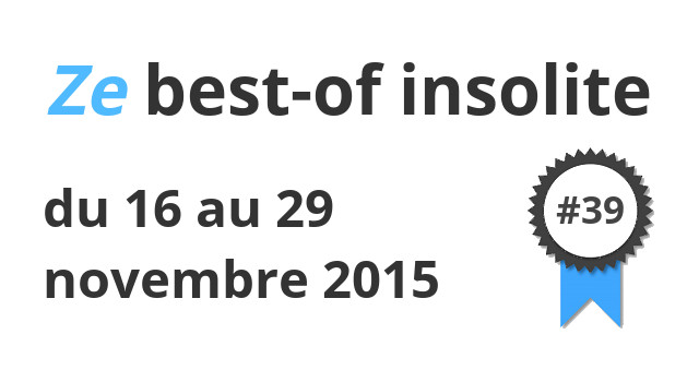 Ze best-of insolite du 16 au 29 novembre 2015