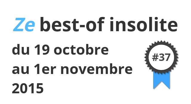 Ze best-of insolite du 19 octobre au 1er novembre 2015