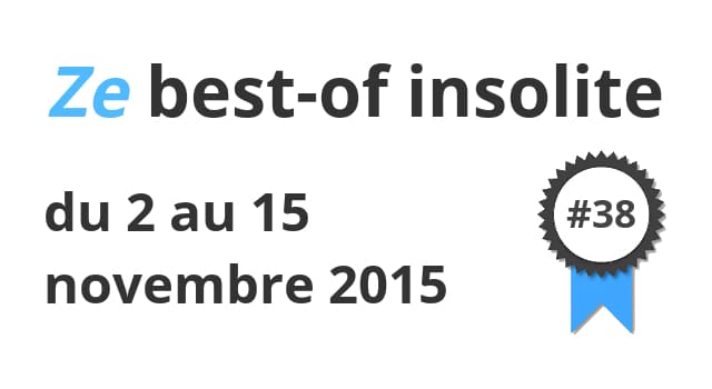 Ze best-of insolite du 2 au 15 novembre 2015