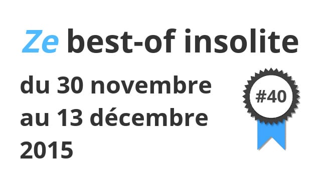 Ze best-of insolite du 30 novembre au 13 décembre 2015