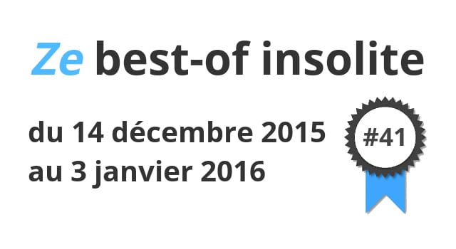 Ze best-of insolite du 14 décembre 2015 au 3 janvier 2016 #41