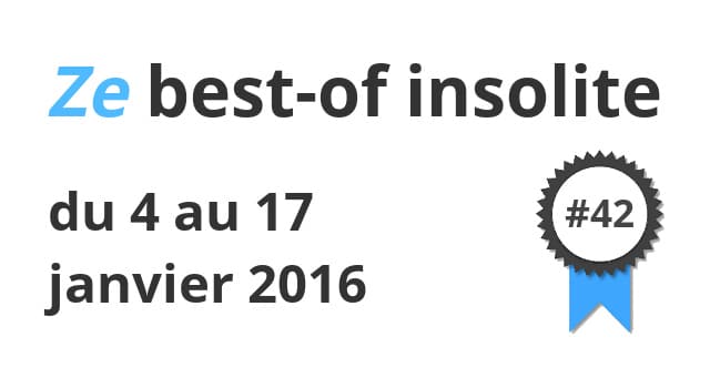 Ze best-of insolite du 4 au 17 janvier 2016 #42