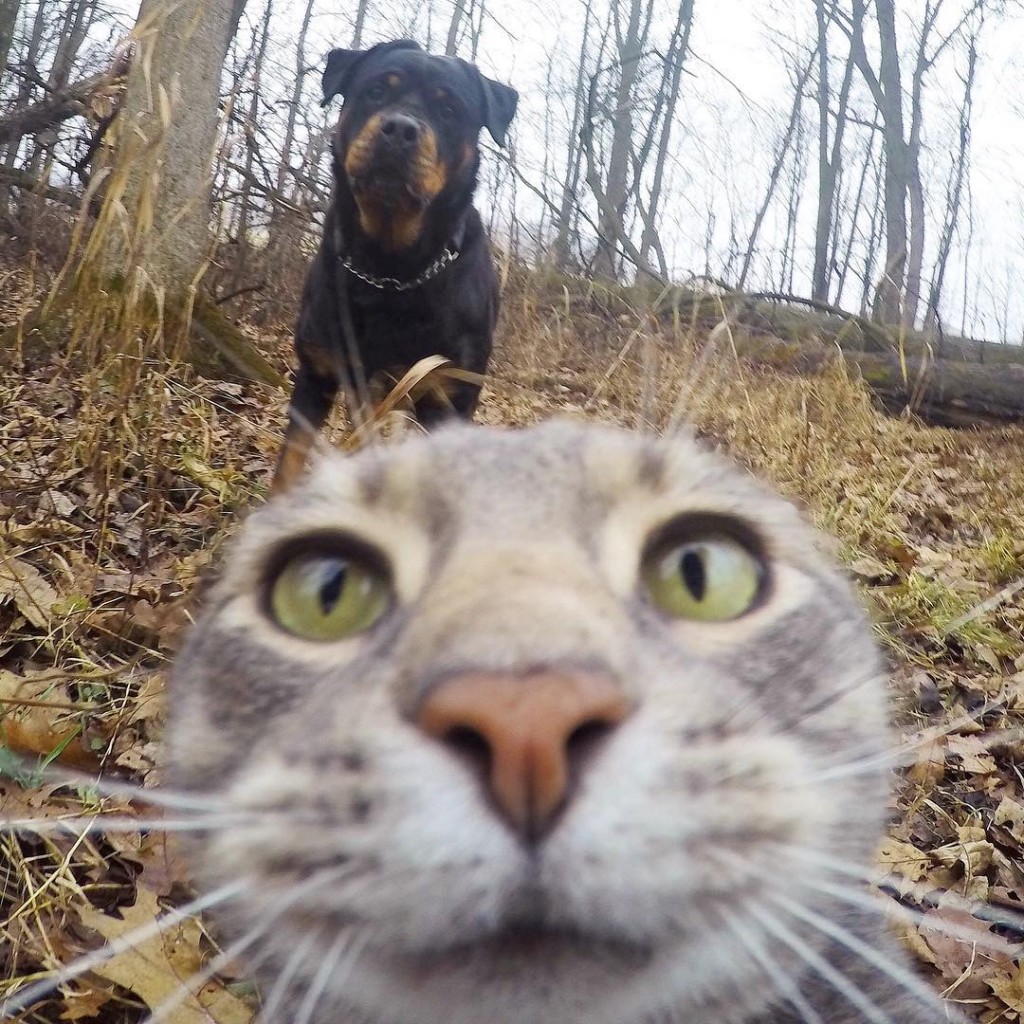 Manny est pro des selfies