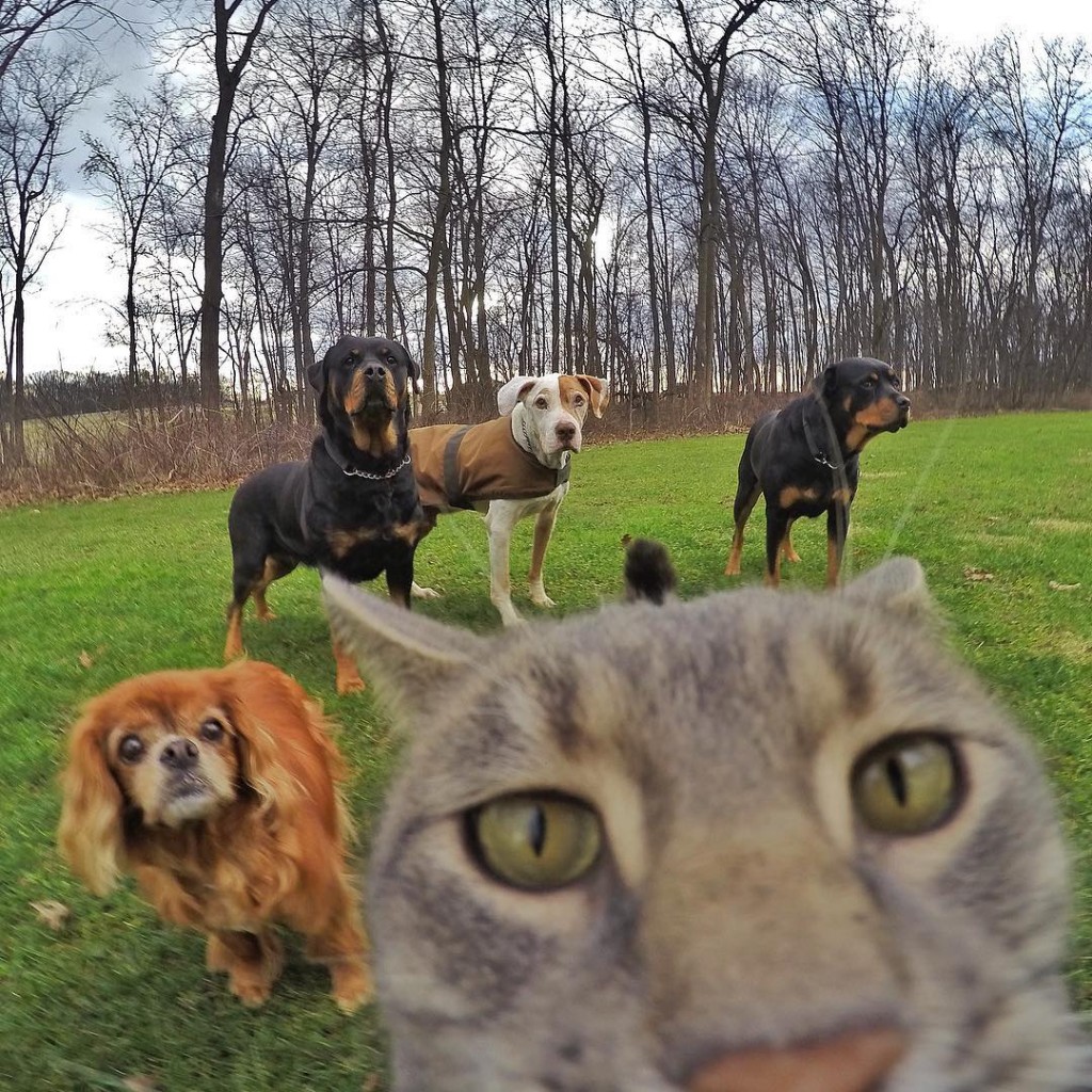 Manny chat pro des selfies avec son crew