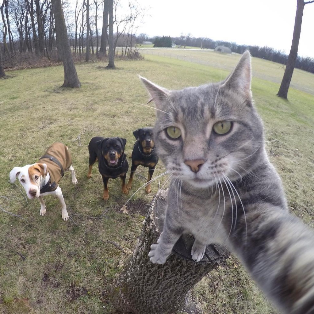 Manny chat pro des selfies avec ses amis