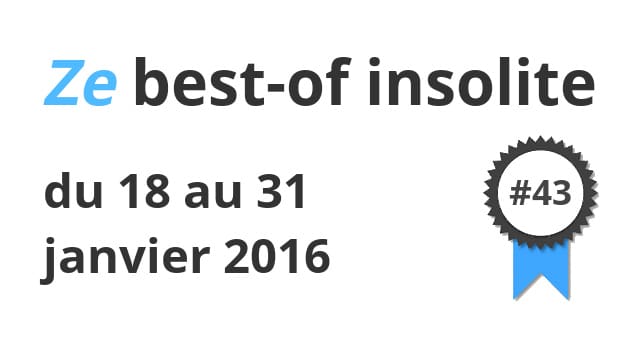 Ze best-of insolite du 18 au 31 janvier 2016 #43