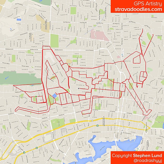 Sauterelle tracée sur carte avec un GPS