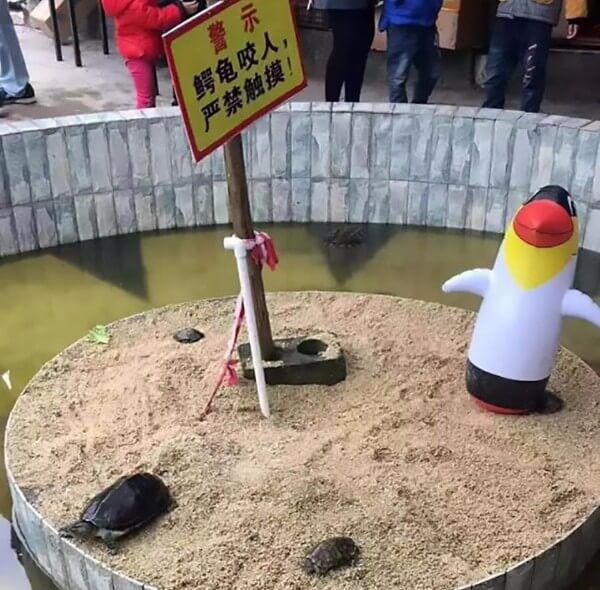 Pingouin en plastique à Yulin