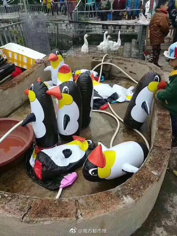 Pingouins en plastique au zoo