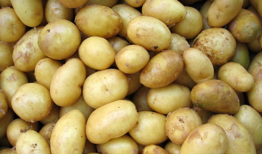 Un particulier se fait livrer 30 tonnes de pommes de terre en plein confinement